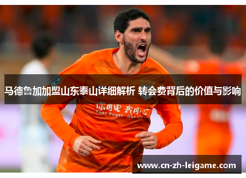 马德鲁加加盟山东泰山详细解析 转会费背后的价值与影响