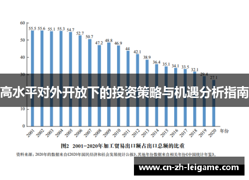 高水平对外开放下的投资策略与机遇分析指南