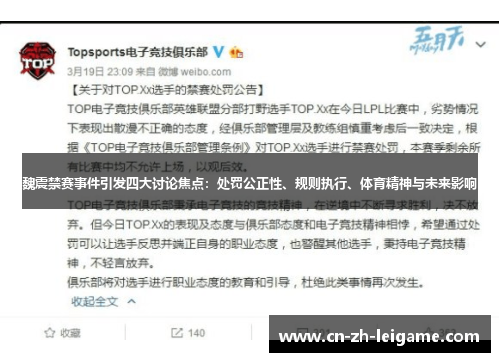 魏震禁赛事件引发四大讨论焦点：处罚公正性、规则执行、体育精神与未来影响